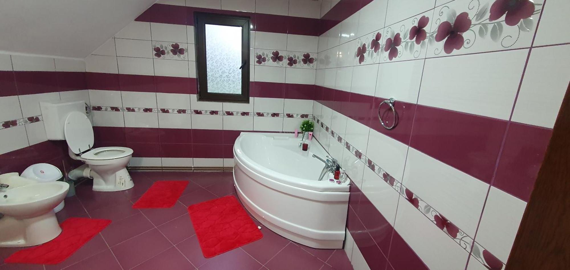 Willa Casa Andrada Horezu Zewnętrze zdjęcie